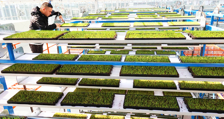 連云港海州:農(nóng)事上“云端” 新農(nóng)人新農(nóng)具“慧”種地